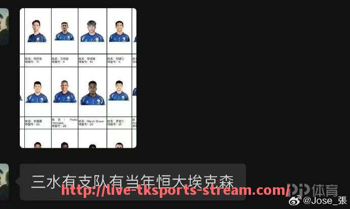 TK体育直播-意甲以球风硬朗著称的球队都有哪些代表性球员？（意甲著名球星）